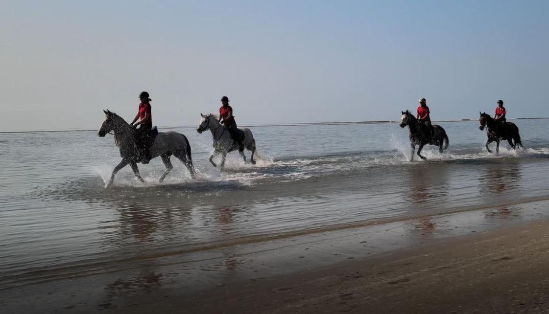 Brussa Horse Oasi Villa Caorle Eksteriør billede
