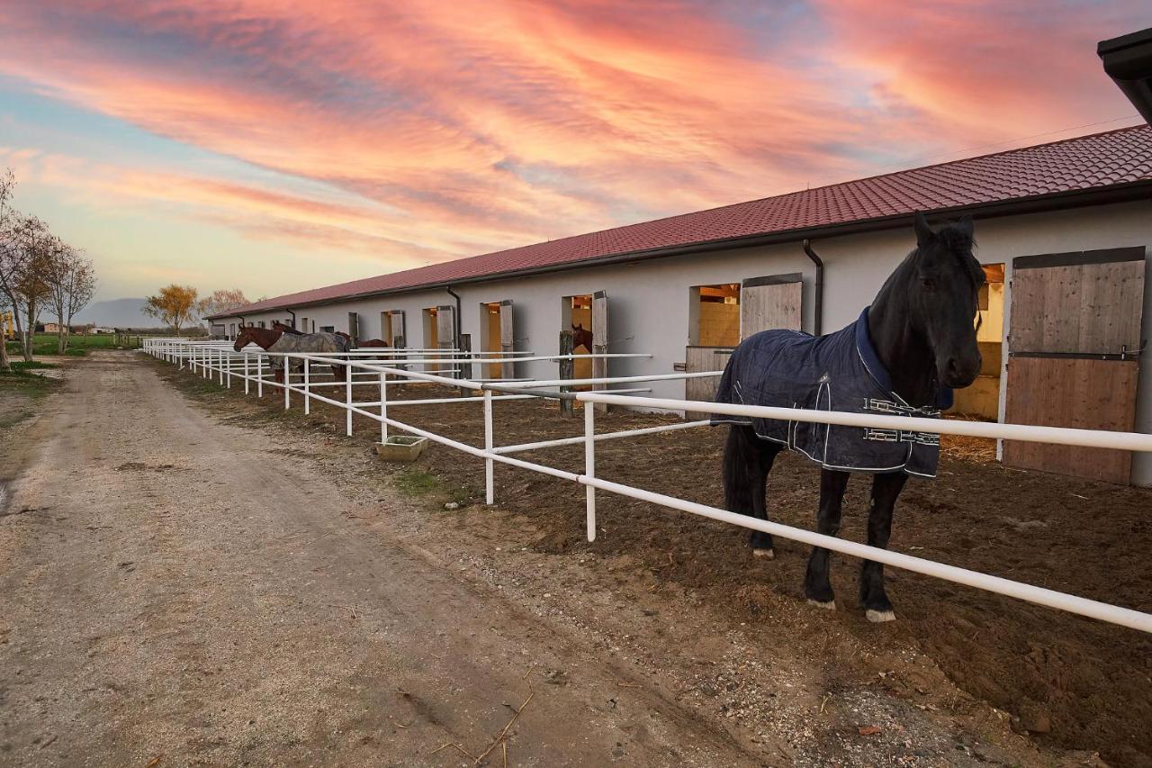 Brussa Horse Oasi Villa Caorle Eksteriør billede